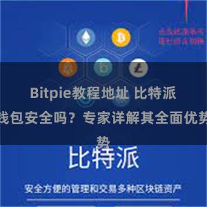 Bitpie教程地址 比特派钱包安全吗？专家详解其全面优势