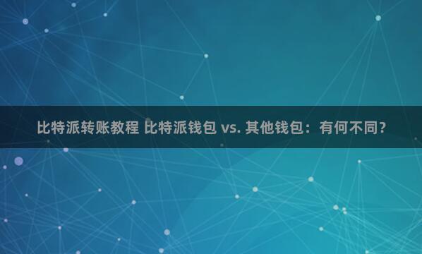 比特派转账教程 比特派钱包 vs. 其他钱包：有何不同？