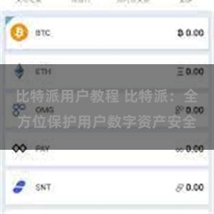 比特派用户教程 比特派：全方位保护用户数字资产安全