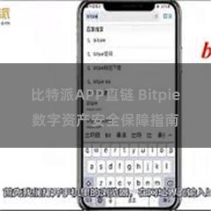 比特派APP直链 Bitpie数字资产安全保障指南