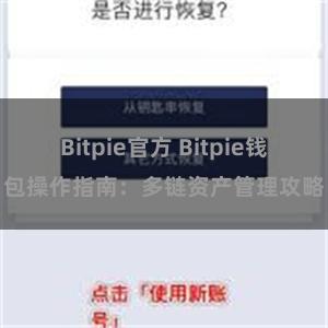 Bitpie官方 Bitpie钱包操作指南：多链资产管理攻略