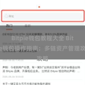 Bitpie钱包教程大全 Bitpie钱包操作指南：多链资产管理攻略