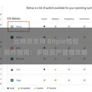 比特派支持 Bitpie钱包操作指南：多链资产管理攻略