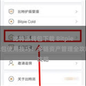 比特派钱包下载 Bitpie钱包使用技巧：多链资产管理全攻略