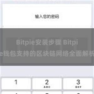 Bitpie安装步骤 Bitpie钱包支持的区块链网络全面解析