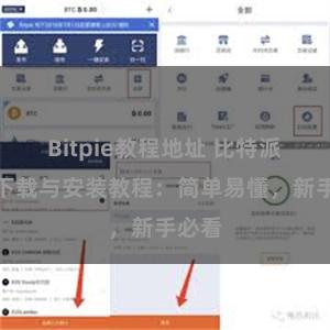 Bitpie教程地址 比特派钱包下载与安装教程：简单易懂，新手必看