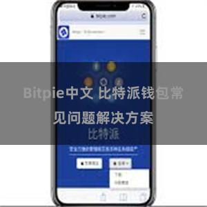 Bitpie中文 比特派钱包常见问题解决方案