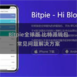 Bitpie全球版 比特派钱包常见问题解决方案