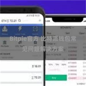 Bitpie官方 比特派钱包常见问题解决方案