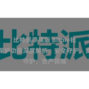 比特派苹果版 Bitpie钱包隐私保护功能深度解析：安全守护，资产保障