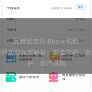 比特派支付 Bitpie钱包隐私保护功能深度解析：安全守护，资产保障