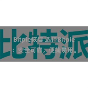 Bitpie恢复 选择Bitpie：安全可靠，便捷易用。