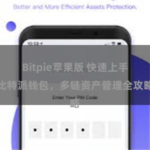 Bitpie苹果版 快速上手比特派钱包，多链资产管理全攻略