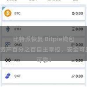 比特派恢复 Bitpie钱包：资产百分之百自主掌控，安全可靠！