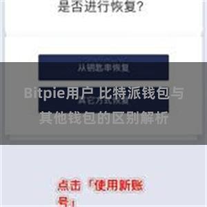 Bitpie用户 比特派钱包与其他钱包的区别解析