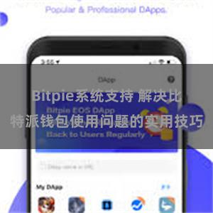 Bitpie系统支持 解决比特派钱包使用问题的实用技巧