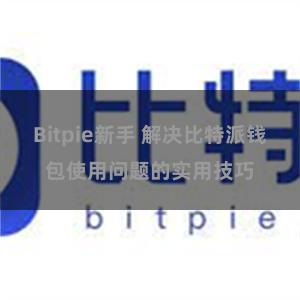 Bitpie新手 解决比特派钱包使用问题的实用技巧