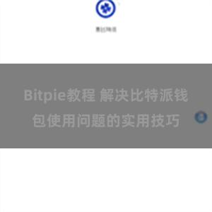 Bitpie教程 解决比特派钱包使用问题的实用技巧