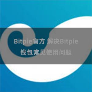 Bitpie官方 解决Bitpie钱包常见使用问题