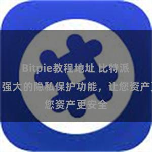 Bitpie教程地址 比特派钱包：强大的隐私保护功能，让您资产更安全