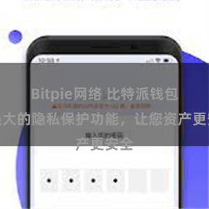 Bitpie网络 比特派钱包：强大的隐私保护功能，让您资产更安全