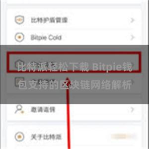 比特派轻松下载 Bitpie钱包支持的区块链网络解析