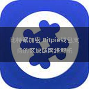 比特派加密 Bitpie钱包支持的区块链网络解析