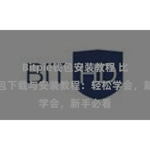 Bitpie钱包安装教程 比特派钱包下载与安装教程：轻松学会，新手必看