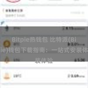 Bitpie热钱包 比特派(Bitpie)钱包下载指南：一站式安装体验