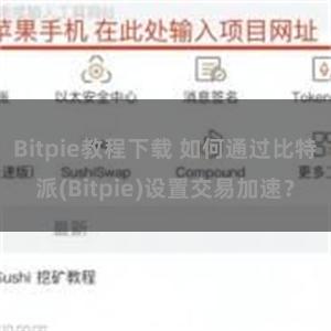 Bitpie教程下载 如何通过比特派(Bitpie)设置交易加速？