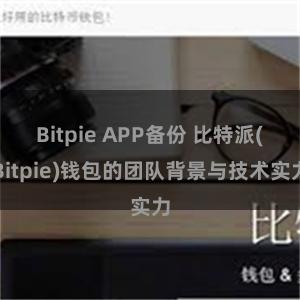 Bitpie APP备份 比特派(Bitpie)钱包的团队背景与技术实力