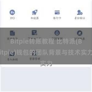 Bitpie转账教程 比特派(Bitpie)钱包的团队背景与技术实力