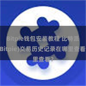 Bitpie钱包安装教程 比特派(Bitpie)交易历史记录在哪里查看？