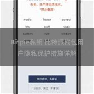 Bitpie私钥 比特派钱包用户隐私保护措施详解