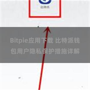 Bitpie应用下载 比特派钱包用户隐私保护措施详解