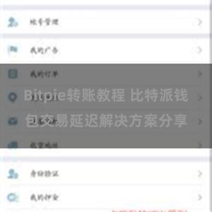 Bitpie转账教程 比特派钱包交易延迟解决方案分享