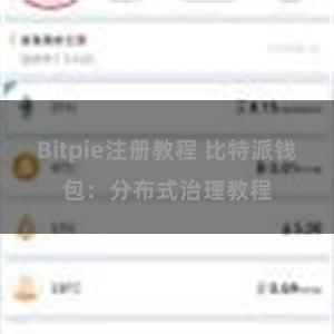Bitpie注册教程 比特派钱包：分布式治理教程