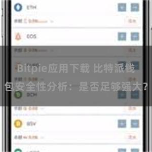 Bitpie应用下载 比特派钱包安全性分析：是否足够强大？