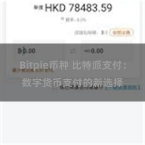 Bitpie币种 比特派支付：数字货币支付的新选择