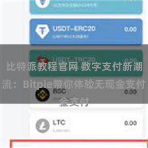 比特派教程官网 数字支付新潮流：Bitpie带你体验无现金支付
