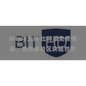 Bitpie支持 比特派免费领取，抢先体验区块链世界