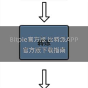 Bitpie官方版 比特派APP官方版下载指南