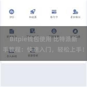 Bitpie钱包使用 比特派新手教程：快速入门，轻松上手！