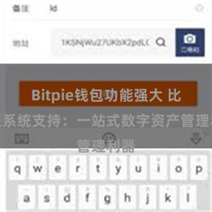 Bitpie钱包功能强大 比特派系统支持：一站式数字资产管理利器