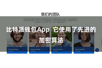 比特派钱包App  它使用了先进的加密算法