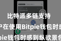 比特派多链支持  让用户在使用Bitpie钱包时感到纵欲景色