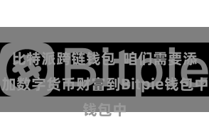 比特派跨链钱包  咱们需要添加数字货币财富到Bitpie钱包中