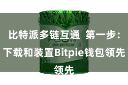 比特派多链互通  第一步：下载和装置Bitpie钱包领先