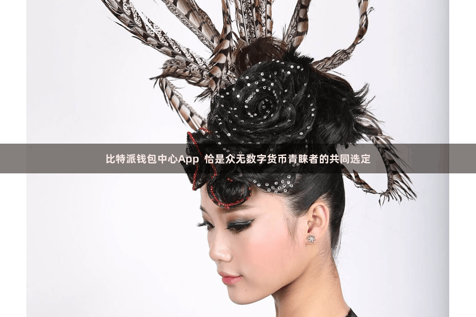 比特派钱包中心App  恰是众无数字货币青睐者的共同选定